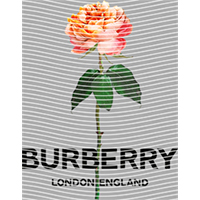 Brand Catalog-ZX 334